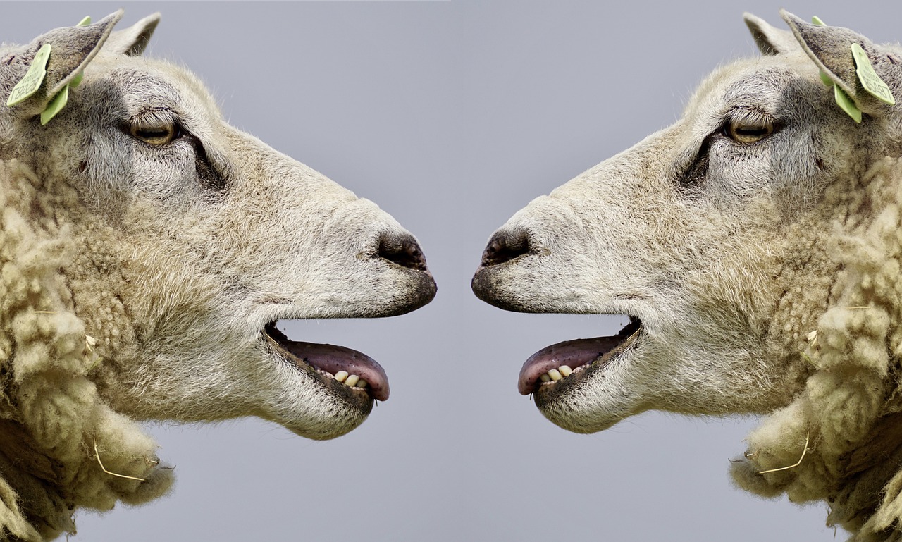 The Role of Agriculture in Sustainability